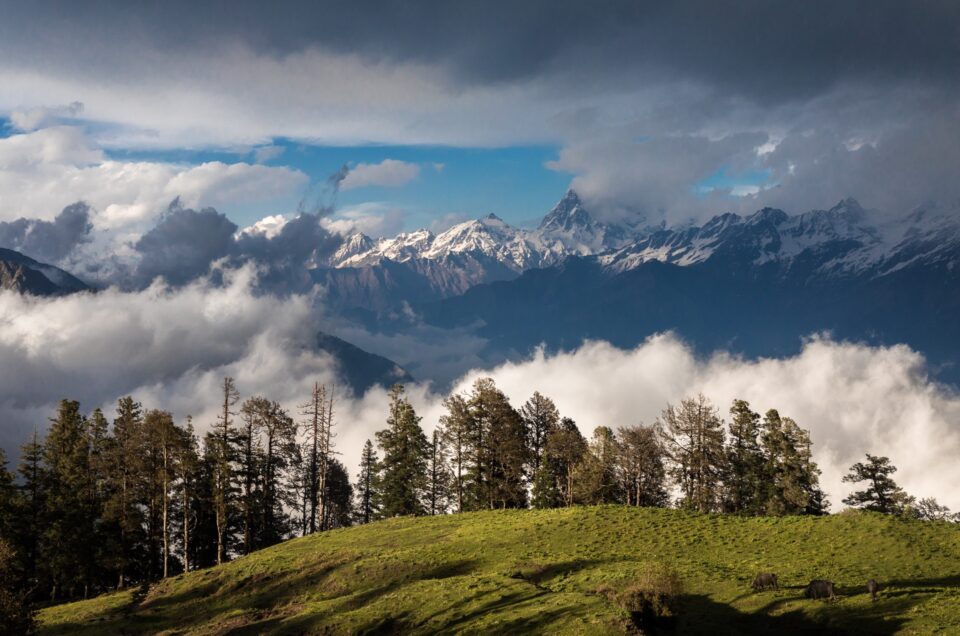 Discover the Best Uttarakhand Tour Packages