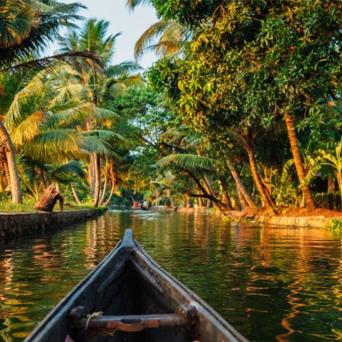 Trip Edge/Kerala 02
