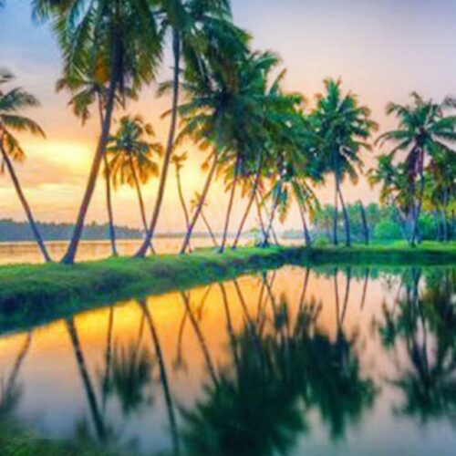 Trip Edge/Kerala 03